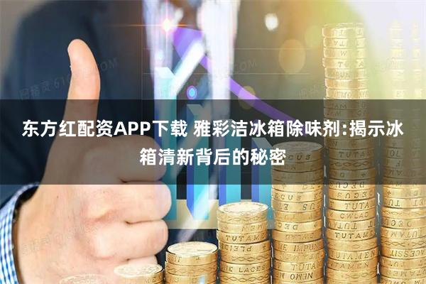 东方红配资APP下载 雅彩洁冰箱除味剂:揭示冰箱清新背后的秘密