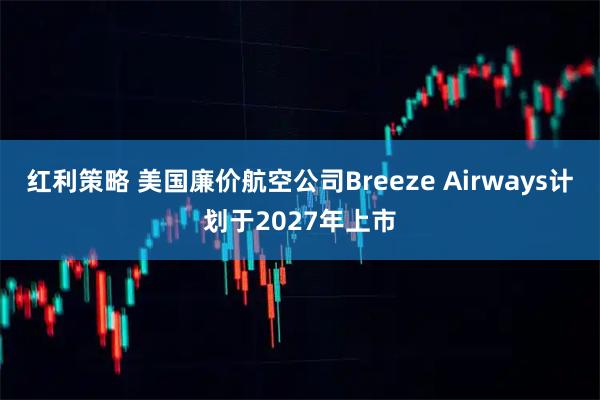 红利策略 美国廉价航空公司Breeze Airways计划于2027年上市